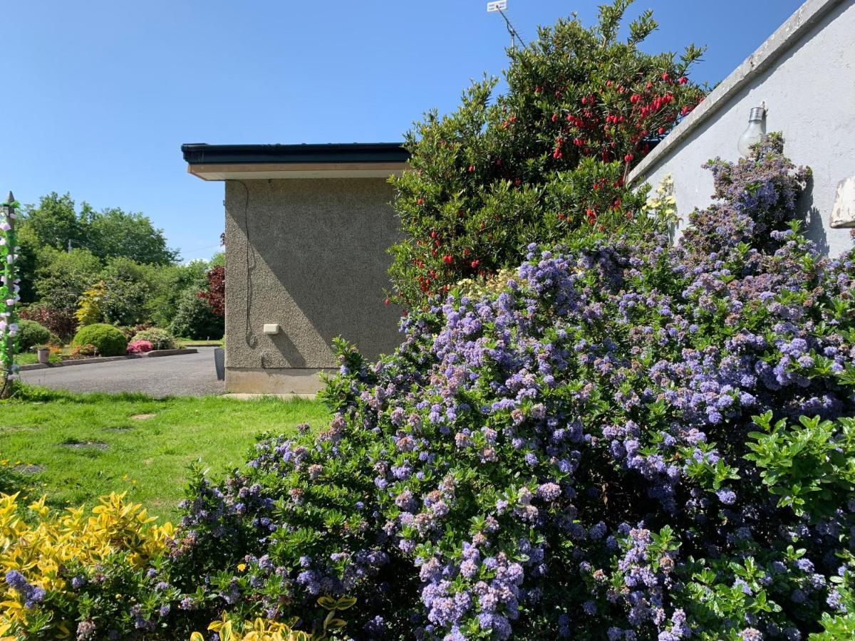 Отель Roadside House Ballynahinch Экстерьер фото