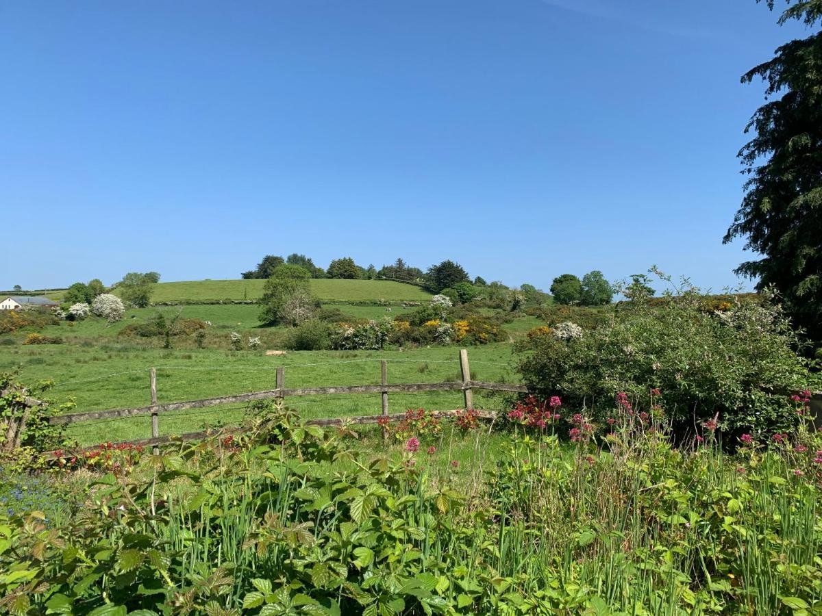 Отель Roadside House Ballynahinch Экстерьер фото